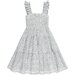 Rylee + Cru Josie Dress - Ditsy
