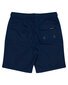 Santa Cruz Classic Dot Cruzier Short - Vintage Blue