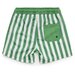 Crywolf Board Short - Coastal Stripe