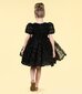 Rock Your Kid Black Ruffle Tulle Party Dress