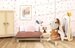 Speedy Monkey Doll House Bedroom + 1 Character