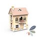 Speedy Monkey Flowers Cottage with Starter Set