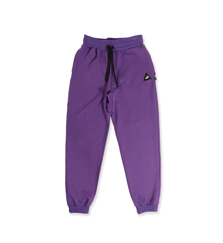 Hello Stranger Boys Cruiser Track Pant - Violet