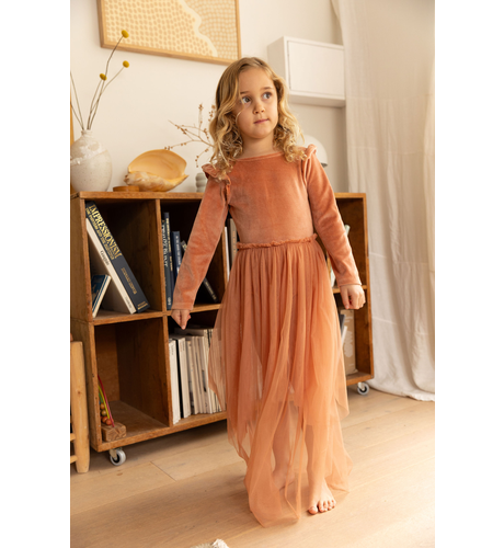 Alex & Ant Birdie Dress - Burnt Pink