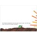 Very Hungry Caterpillar Board Book