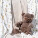 TLLC Muslin 3pk Wraps - Nectar Bear