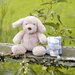 TLLC Plush Toy & Washers 3pk - Barklife Dog