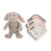TLLC Plush Toy & Washers 3pk - Harvest Bunny
