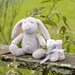TLLC Plush Toy & Washers 3pk - Harvest Bunny