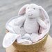 TLLC Plush Toy & Washers 3pk - Harvest Bunny