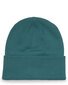 Santa Cruz Other Dot Beanie - Turquoise