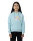 Santa Cruz Spirit Stack Strip Front Hoodie - Turquoise