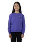 Santa Cruz Seeing Moon Dot Chest Sweater - Iris