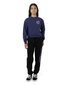 Santa Cruz Triple Stroke Chest Sweater - Dark Blue