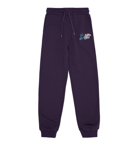 Santa Cruz Yelling Hand Track Pants - Purple