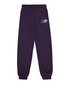 Santa Cruz Yelling Hand Track Pants - Purple
