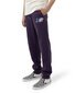 Santa Cruz Yelling Hand Track Pants - Purple