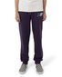 Santa Cruz Yelling Hand Track Pants - Purple