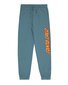 Santa Cruz Classic Strip Track Pant - Ocean