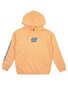Santa Cruz Decaying Hand Strip Hoodie - Orange