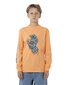 Santa Cruz Decaying Hand Strip L/S Tee - Orange
