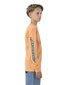 Santa Cruz Decaying Hand Strip L/S Tee - Orange