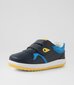 Bobux Kid+Baseline Sneaker - Navy/Azure Blue