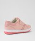 Bobux Kid+Baseline Sneaker - Rosewater