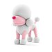 Hey Clay Poodle Poppy - 3 Cans