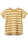 Nature Baby River Tee - Golden Sea Stripe